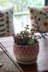 -瑜舍瑜伽连锁教室