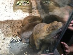 -合肥海洋世界