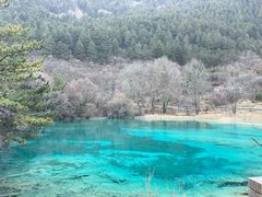 -九寨沟-树正沟