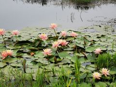 -云漫湖生态度假公园