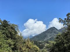 -龙苍沟森林公园