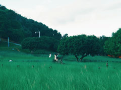 -红花山公园