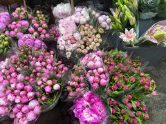 -循礼门鲜花花市(武汉循礼门店)