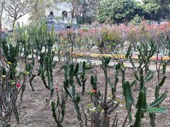 -松山湖梦幻百花洲