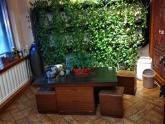 -孙三拨按摩拨筋(五一路店)