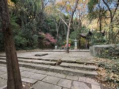 -杭州半山国家森林公园