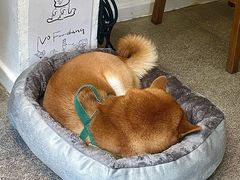 -三目仓咖啡(贤南路店)