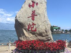 -小普陀