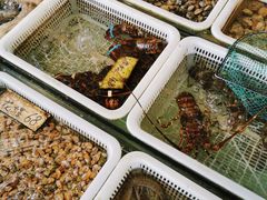 -红月湾海鲜饭店•沙滩海景(双月湾店)