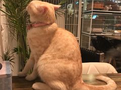-小时光咖啡馆(北锣鼓巷店)