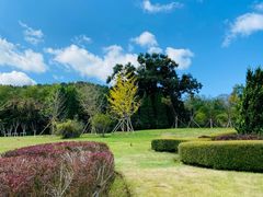 -棒棰岛宾馆景区
