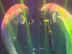 -芜湖新华联大白鲸海洋公园