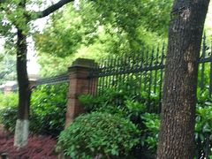 -杭州绿城育华亲亲学校