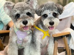 -J Create城市露营咖啡·简餐·宠物(上海动物园店)