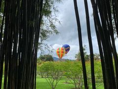 -中国科学院西双版纳热带植物园
