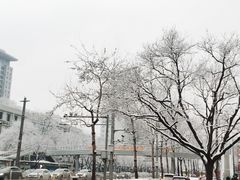 -吉野家 (新街口外大街店)