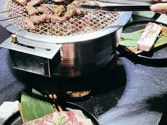 -坦坦大炉·韩式烤肉(望京店)
