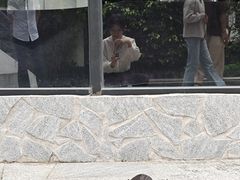 -顺德职业技术大学