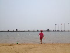 -碧海金沙