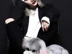 -宠物梦想家(日月豪庭店)