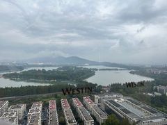 -湖景知味西餐厅•自助餐• 轻食(南京金茂威斯汀大酒店)