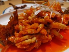 -茅溪菜·家常菜(九街店)