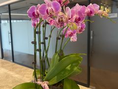 -北京盈之宝宝马4S店(望京店)