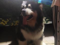 -鬼笑石后山停车场