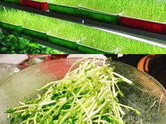 -番食园鲜食火锅(高新店)