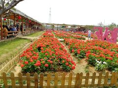 景点-盈香心动乐园