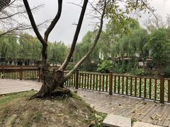 -巴山一绝烤全羊(三圣乡刘家花园店)