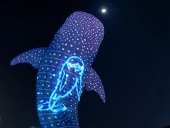 -珠海长隆海洋王国