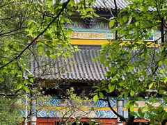 -玉苍山国家森林公园