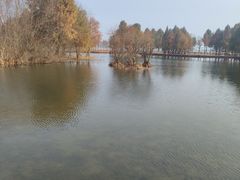 -贡湖湾湿地公园