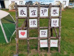 -五营红松林海景区