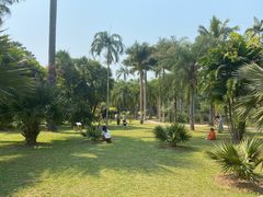 -中国科学院西双版纳热带植物园