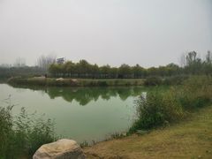 -淇河国家湿地公园