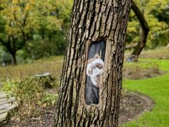 -上海共青森林公园