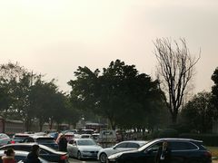 -两河城市森林公园