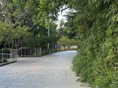 -南山公园