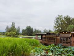 -西昌邛海湿地