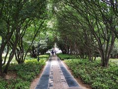 -河南省黄河迎宾馆