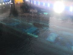 -海棠湾洲际-涛·海底餐厅·美人鱼·自助餐·海底隧道