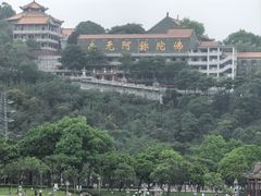 -顺峰山公园
