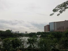 -广州汇华希尔顿逸林酒店