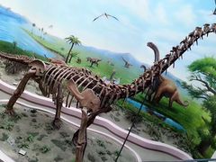 -辽宁古生物博物馆