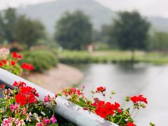 -上海辰山植物园