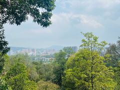 -广州市白云山风景名胜区