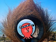 -漳州滨海火山岛自然生态风景区