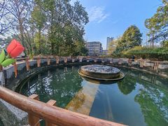 -成都市活水公园
